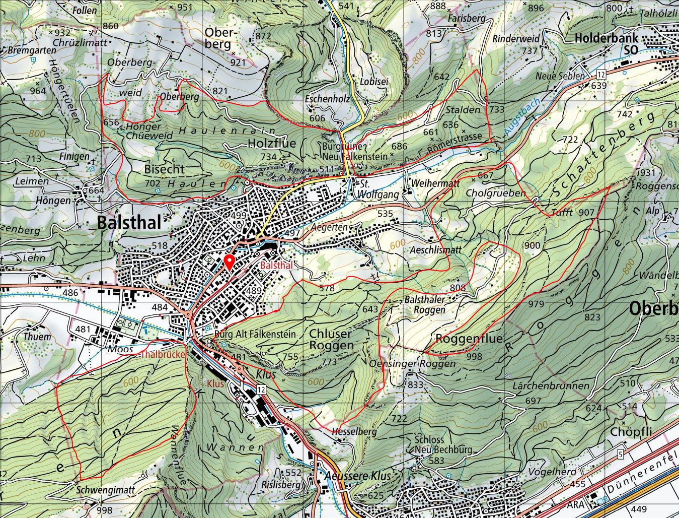 Waldstücke der Bürgergemeinde Balstha