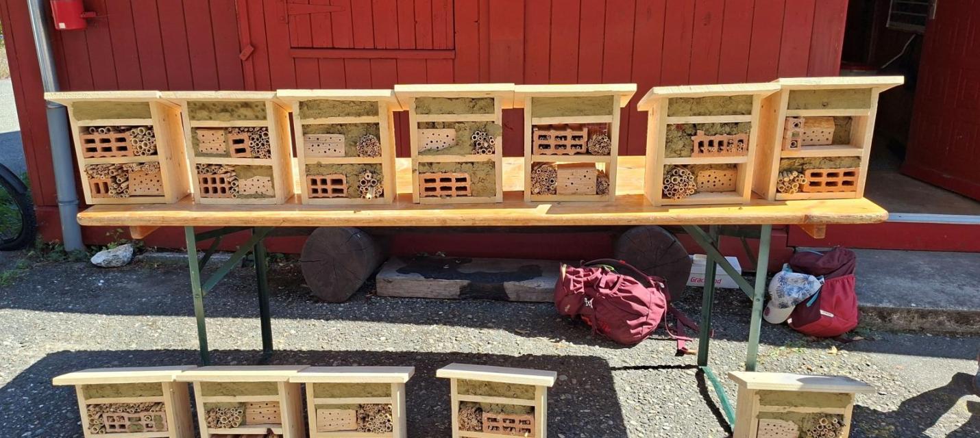 Fertig sind die Insektenhotels