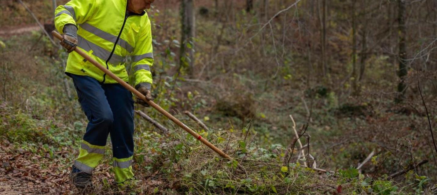 Pflegeeinsatz Leisiweiher